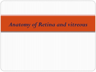Anatomy of Retina and vitreous
 