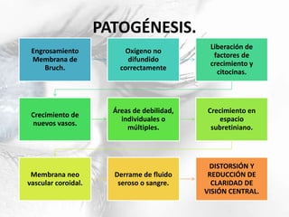 PATOGÉNESIS.
Engrosamiento
Membrana de
Bruch.
Oxígeno no
difundido
correctamente
Liberación de
factores de
crecimiento y
citocinas.
Crecimiento de
nuevos vasos.
Áreas de debilidad,
individuales o
múltiples.
Crecimiento en
espacio
subretiniano.
Membrana neo
vascular coroidal.
Derrame de fluido
seroso o sangre.
DISTORSIÓN Y
REDUCCIÓN DE
CLARIDAD DE
VISIÓN CENTRAL.
 