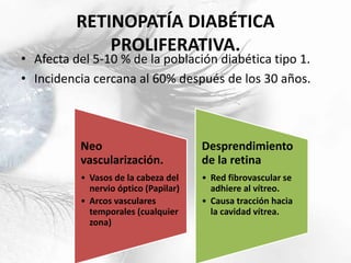 RETINOPATÍA DIABÉTICA
PROLIFERATIVA.
• Afecta del 5-10 % de la población diabética tipo 1.
• Incidencia cercana al 60% después de los 30 años.
Neo
vascularización.
• Vasos de la cabeza del
nervio óptico (Papilar)
• Arcos vasculares
temporales (cualquier
zona)
Desprendimiento
de la retina
• Red fibrovascular se
adhiere al vítreo.
• Causa tracción hacia
la cavidad vítrea.
 