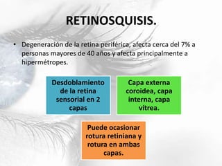 RETINOSQUISIS.
• Degeneración de la retina periférica, afecta cerca del 7% a
personas mayores de 40 años y afecta principalmente a
hipermétropes.
Desdoblamiento
de la retina
sensorial en 2
capas
Capa externa
coroidea, capa
interna, capa
vítrea.
Puede ocasionar
rotura retiniana y
rotura en ambas
capas.
 