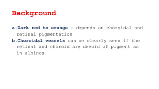 Background
a.Dark red to orange : depends on choroidal and
retinal pigmentation
b.Choroidal vessels can be clearly seen if the
retinal and choroid are devoid of pigment as
in albinos
 