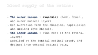 The outer lamina : avascular (Rods, Cones ,
and outer nuclear layer)
 Get nutrition from the choroidal capillaries
and drained into choroid.
The inner lamina : (The rest of the retinal
layers)
 Supplied by the central retinal artery and
drained into central retinal vein.
 