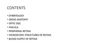 Comprehensive Overview of Retina Anatomy, Embryology, and Blood Supply ...