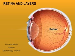 Dr.Lhacha Wangdi
Resident
Ophthalmology, JDWNRH
RETINA AND LAYERS
 