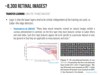 Shallow introduction for Deep Learning Retinal Image Analysis | PDF