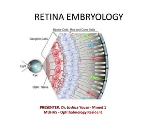 RETINA EMBRYOLOGY
PRESENTER; Dr. Joshua Youze - Mmed 1
MUHAS - Ophthalmology Resident
 