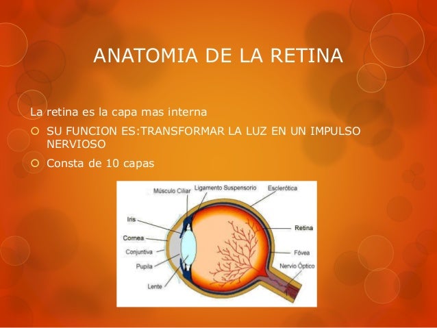 RETINA