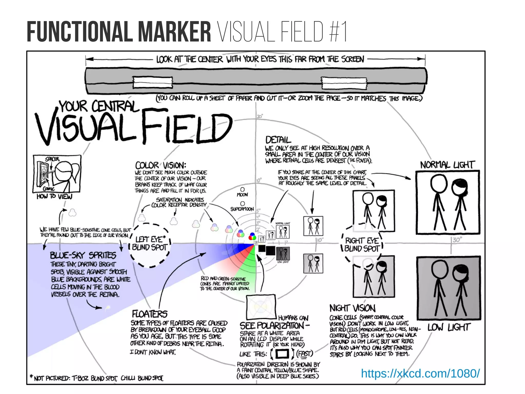 Functional marker VISUAL FIELD #1
 