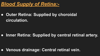 Retinal anatomy and physiology/ppt/ .pdf