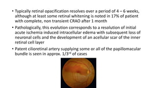 • Typically retinal opacification resolves over a period of 4 – 6 weeks,
although at least some retinal whitening is noted in 17% of patient
with complete, non transient CRAO after 1 month
• Pathologically, this evolution corresponds to a resolution of initial
acute ischemia induced intracellular edema with subsequent loss of
neuronal cells and the development of an acellular scar of the inner
retinal cell layer
• Patent cilioretinal artery supplying some or all of the papillomacular
bundle is seen in approx. 1/3rd of cases
 