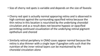 • Size of cherry red spots is variable and depends on the size of foveola
• Cherry red spot is actually normal appearing retina and is observed in
high contrast against the surrounding opacified retina because the
thin retina in this location is nourished by the underlying choroidal
circulation and as a result does not become hypoxic or opacified
permitting continued visualization of the underlying retinal pigment
epithelium and choroid
• Similarly retinal periphery in CRAO cases appear normal because the
retina is also thinner with a single layer if ganglion cells such that the
nutrition of the inner retinal layers can be maintained by the
choroidal circulation alone
 