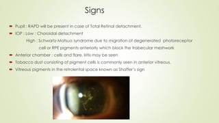 Signs
 Pupil : RAPD will be present in case of Total Retinal detachment.
 IOP : Low : Choroidal detachment
High : Schwartz-Matsuo syndrome due to migration of degenerated photoreceptor
cell or RPE pigments anteriorly which block the trabecular meshwork
 Anterior chamber : cells and flare. Iritis may be seen
 Tobacco dust consisting of pigment cells is commonly seen in anterior vitreous.
 Vitreous pigments in the retrolental space known as Shaffer’s sign
 