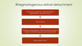 Rhegmatogenous retinal detachment
Risk factors, senile PVD , Peripheral retinal
degenerations, aphakia, trauma
Retinal break
Seeping of degenerated vitreous fluid through retinal
break into subretinal space and collects as SRF
Retinal detachment
 