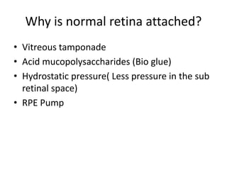 retinal_detachment 4.pptx