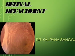 Operculated Retinal Hole In Retinal Detachment Retina