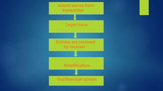 sound waves from
transmitter
Echoes are received
by receiver
Amplification
Oscilloscope screen
Target tissue
 