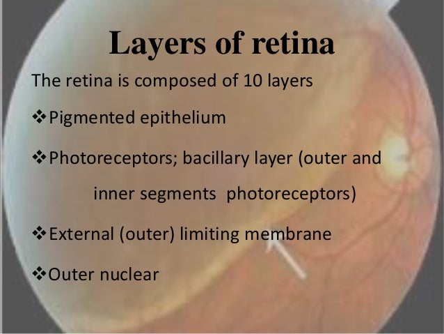 retina detachment symptoms