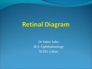 Dr Sabin Sahu
M.S. Ophthalmology
SCEH, Lahan
 
