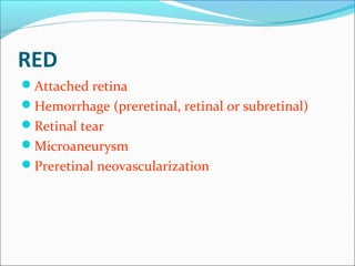 RED
Attached retina
Hemorrhage (preretinal, retinal or subretinal)
Retinal tear
Microaneurysm
Preretinal neovascularization
 