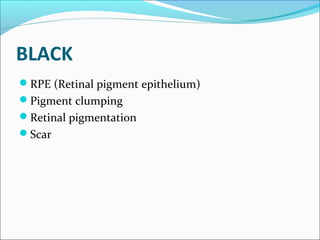 BLACK
RPE (Retinal pigment epithelium)
Pigment clumping
Retinal pigmentation
Scar
 