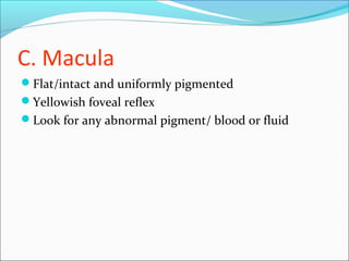 C. Macula
Flat/intact and uniformly pigmented
Yellowish foveal reflex
Look for any abnormal pigment/ blood or fluid
 