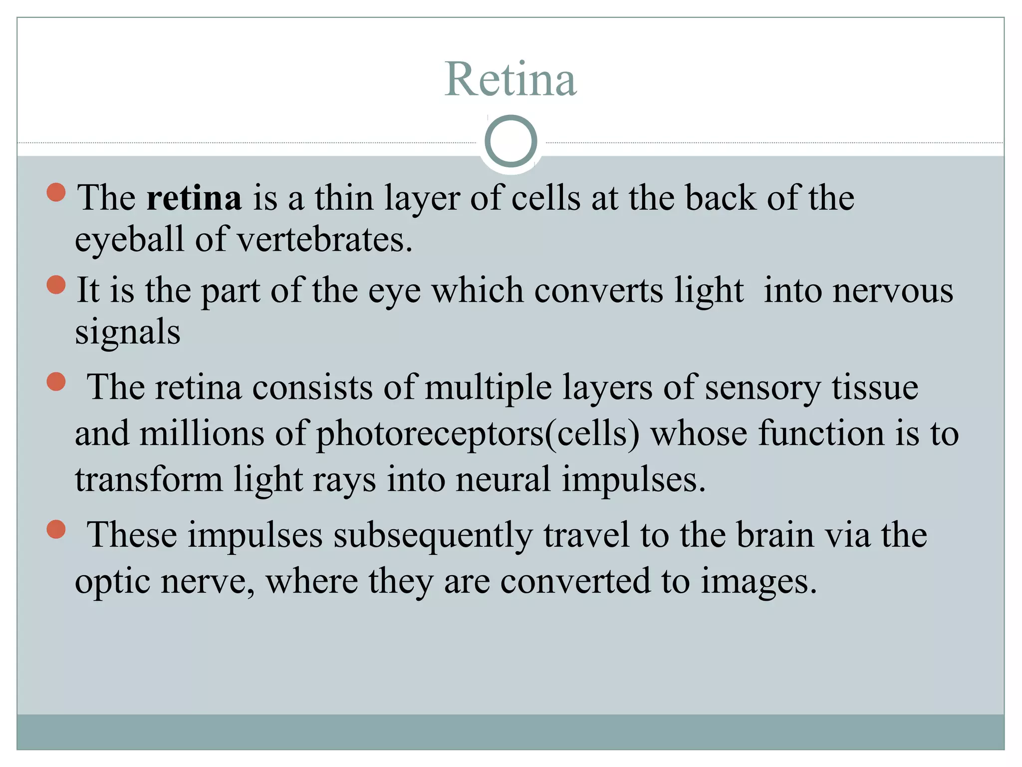 Retina

The retina is a thin layer of cells at the back of the
 eyeball of vertebrates.
It is the part of the eye which converts light into nervous
 signals
 The retina consists of multiple layers of sensory tissue
 and millions of photoreceptors(cells) whose function is to
 transform light rays into neural impulses.
 These impulses subsequently travel to the brain via the
 optic nerve, where they are converted to images.
 