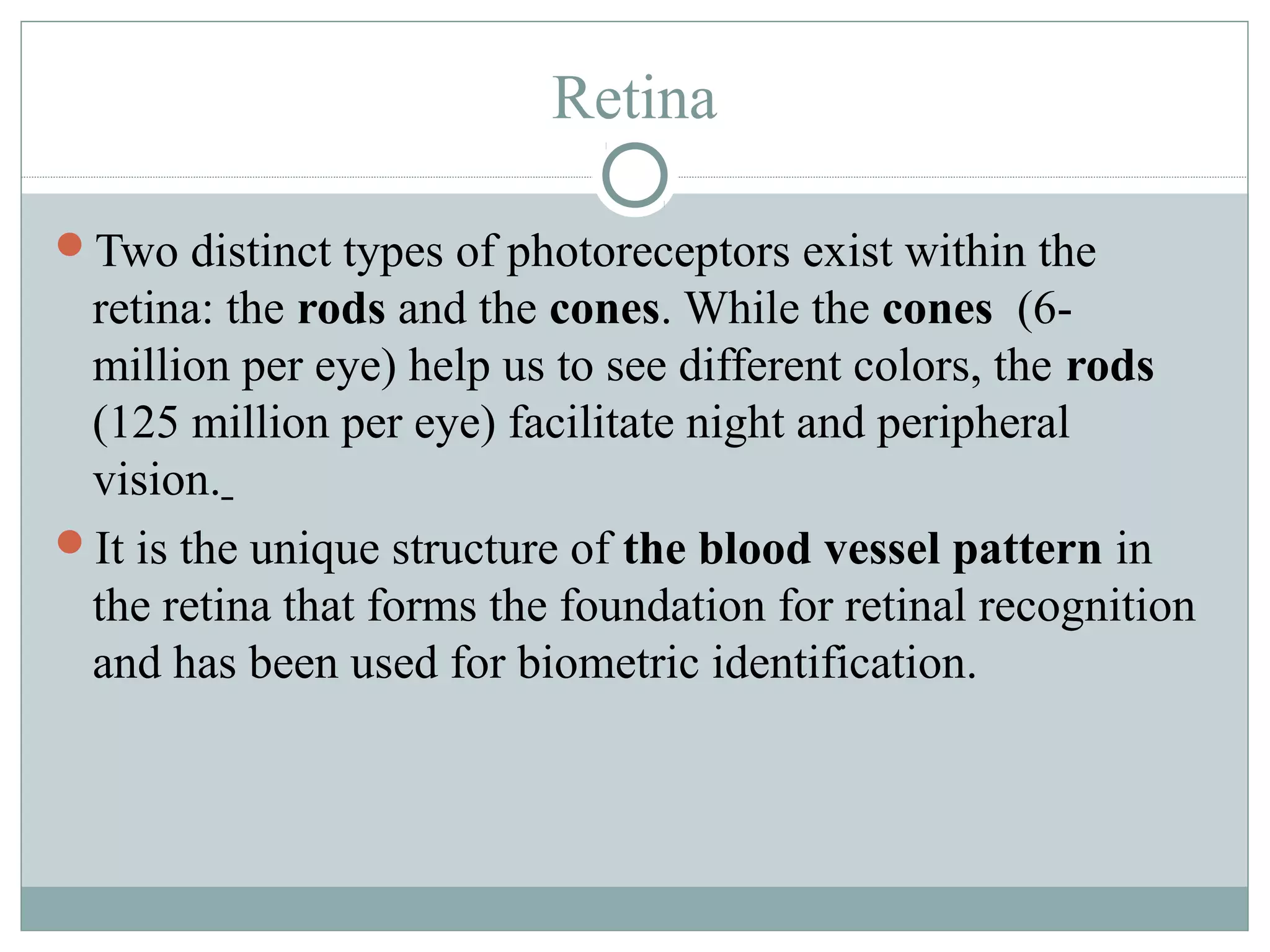 Retina

Two distinct types of photoreceptors exist within the
 retina: the rods and the cones. While the cones (6-
 million per eye) help us to see different colors, the rods
 (125 million per eye) facilitate night and peripheral
 vision.
It is the unique structure of the blood vessel pattern in
 the retina that forms the foundation for retinal recognition
 and has been used for biometric identification.
 