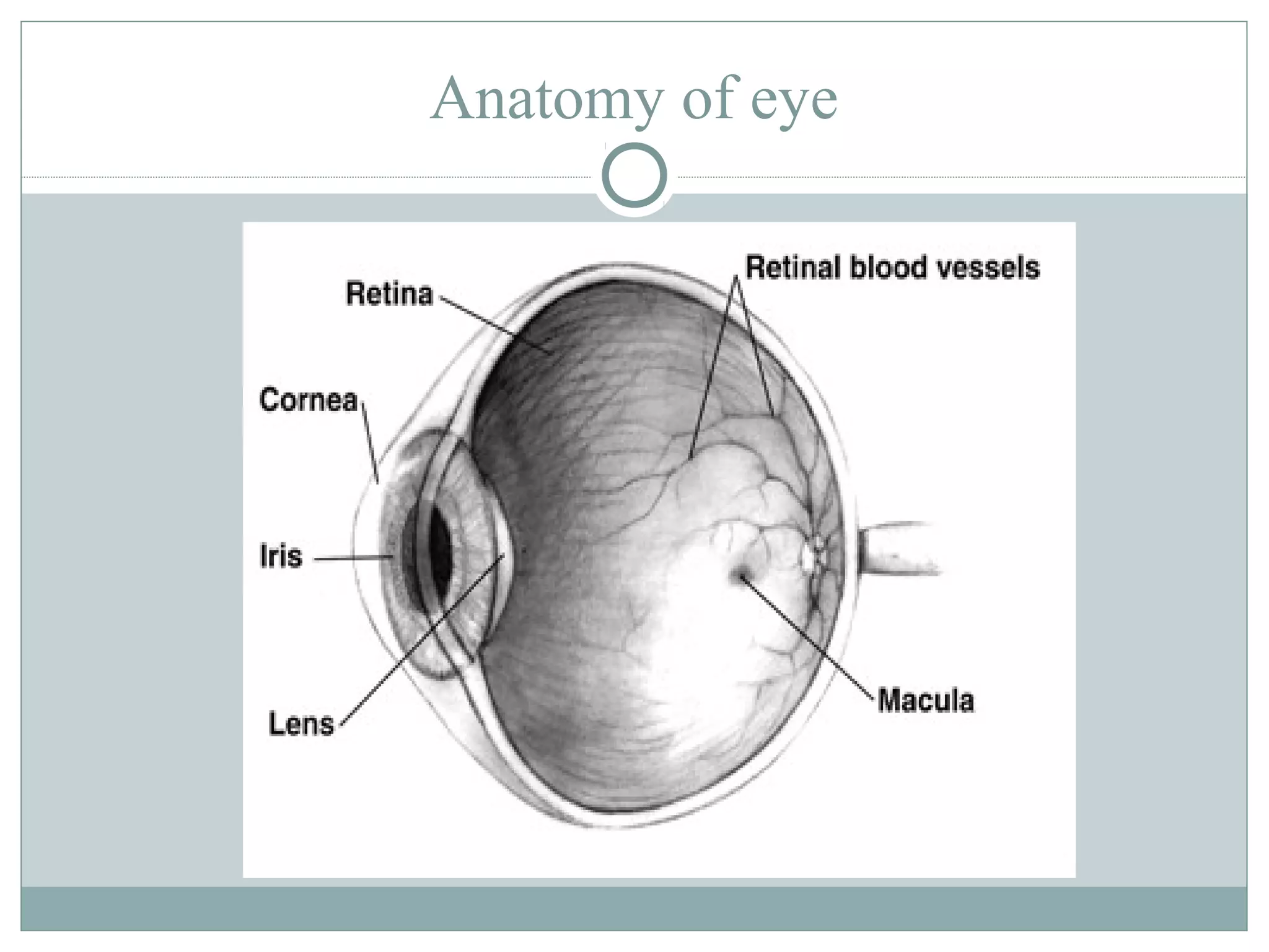 Anatomy of eye
 