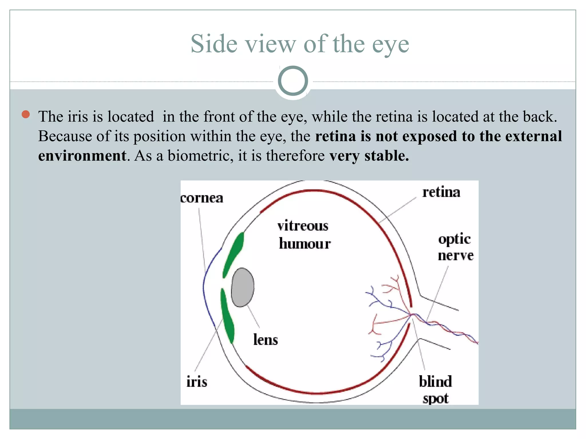 Side view of the eye

 The iris is located in the front of the eye, while the retina is located at the back.
  Because of its position within the eye, the retina is not exposed to the external
  environment. As a biometric, it is therefore very stable.
 