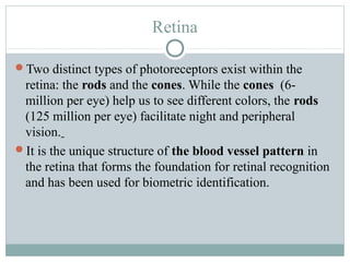 Retina

Two distinct types of photoreceptors exist within the
 retina: the rods and the cones. While the cones (6-
 million per eye) help us to see different colors, the rods
 (125 million per eye) facilitate night and peripheral
 vision.
It is the unique structure of the blood vessel pattern in
 the retina that forms the foundation for retinal recognition
 and has been used for biometric identification.
 