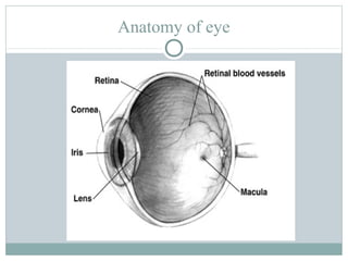 Anatomy of eye
 