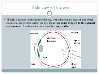 Side view of the eye

 The iris is located in the front of the eye, while the retina is located at the back.
  Because of its position within the eye, the retina is not exposed to the external
  environment. As a biometric, it is therefore very stable.
 