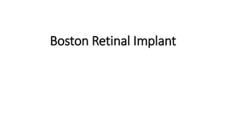 Boston Retinal Implant
 