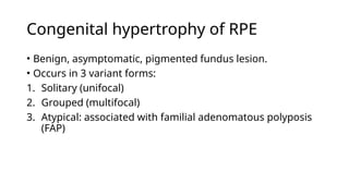 Hypertrophic Rpe Comprehensive Overview of Retinal Tumours: Types, Diagnosis, and ...