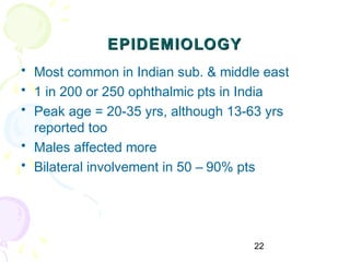 22
EPIDEMIOLOGYEPIDEMIOLOGY
• Most common in Indian sub. & middle east
• 1 in 200 or 250 ophthalmic pts in India
• Peak age = 20-35 yrs, although 13-63 yrs
reported too
• Males affected more
• Bilateral involvement in 50 – 90% pts
 