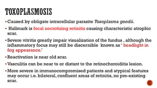 Caused by obligate intracellular parasite Toxoplasma gondii.
 Hallmark is focal necrotizing retinitis causing characteristic atrophic
scar.
Severe vitritis greatly impair visualization of the fundus , although the
inflammatory focus may still be discernible known as ‘ headlight in
fog appearance.’
Reactivation is near old scar.
Vasculitis can be near to or distant to the retinochoroiditis lesion.
More severe in immunocompromised patients and atypical features
may occur i.e. bilateral, confluent areas of retinitis, no pre-existing
scar.
 