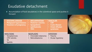 RETINA-retinal detatchment powerpoint presentation | PPTX