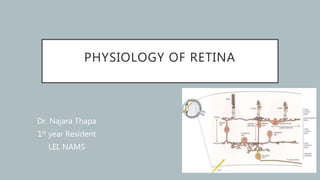 PHYSIOLOGY OF RETINA
Dr. Najara Thapa
1st year Resident
LEI, NAMS
1
 