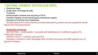 Retina structure and function | PPTX