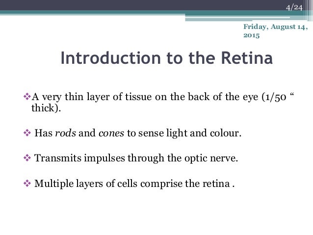 retina scan cost retina scan cost