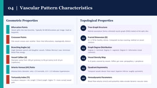 Advanced Retina Vascular Pattern Recognition in Biometrics | PDF