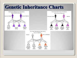 Rp Inheritance Pattern Retinitis pigmentosa | PPTX
