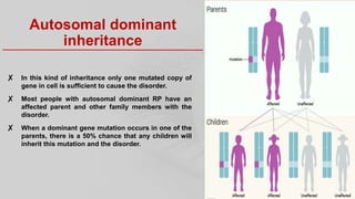 Rp Inheritance Pattern Retinitis pigmentosa | PPTX