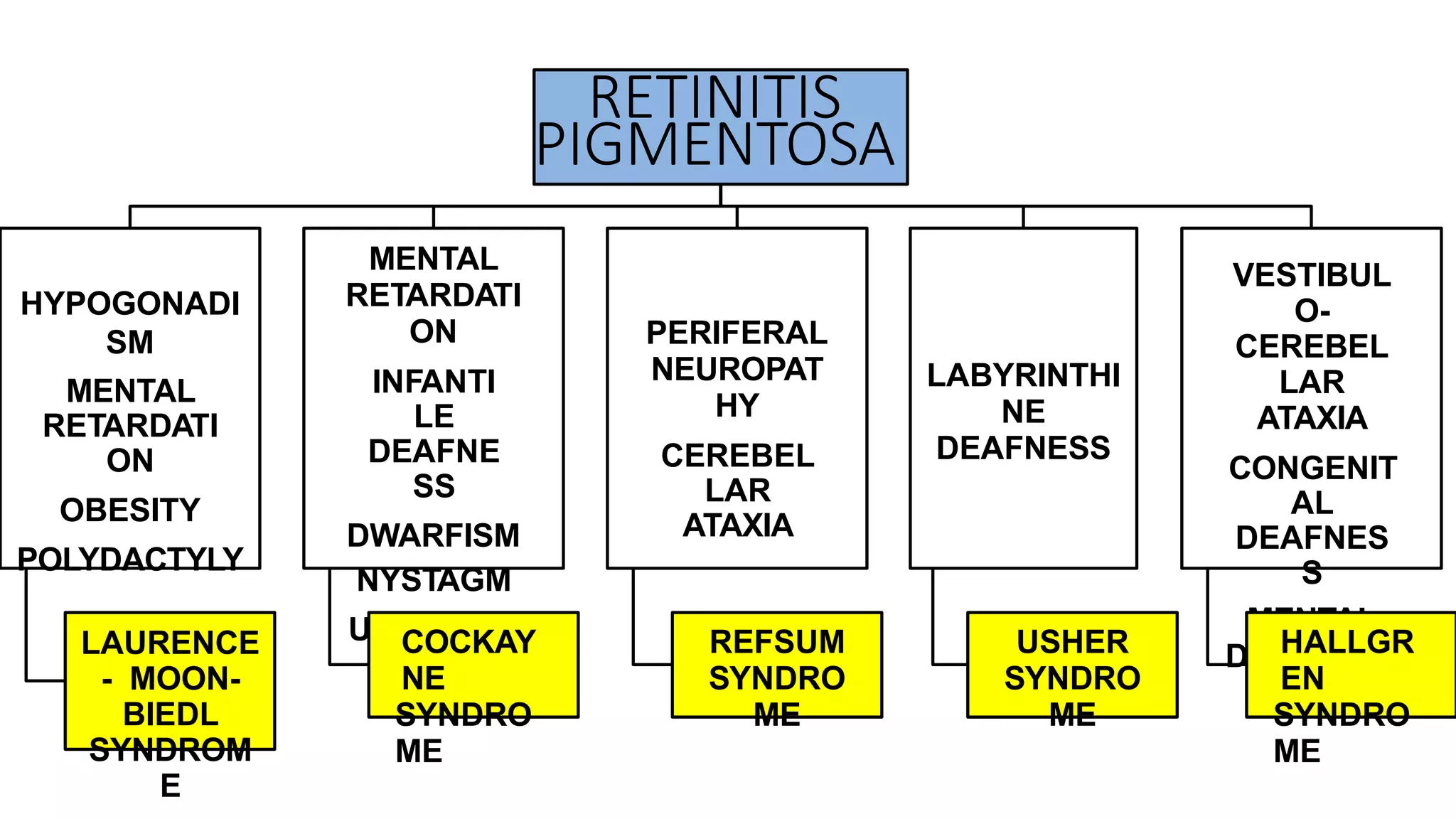 Retinitis pigmentosa and allied disorders | PPTX | Eye and Vision ...