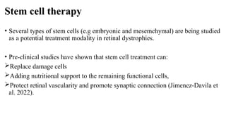 Stem cell therapy
• Several types of stem cells (e.g embryonic and mesemchymal) are being studied
as a potential treatment modality in retinal dystrophies.
• Pre-clinical studies have shown that stem cell treatment can:
Replace damage cells
Adding nutritional support to the remaining functional cells,
Protect retinal vascularity and promote synaptic connection (Jimenez-Davila et
al. 2022).
 