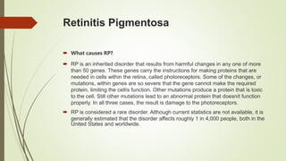 Retinitis Pigmentosa
 What causes RP?
 RP is an inherited disorder that results from harmful changes in any one of more
than 50 genes. These genes carry the instructions for making proteins that are
needed in cells within the retina, called photoreceptors. Some of the changes, or
mutations, within genes are so severe that the gene cannot make the required
protein, limiting the cellís function. Other mutations produce a protein that is toxic
to the cell. Still other mutations lead to an abnormal protein that doesnít function
properly. In all three cases, the result is damage to the photoreceptors.
 RP is considered a rare disorder. Although current statistics are not available, it is
generally estimated that the disorder affects roughly 1 in 4,000 people, both in the
United States and worldwide.
 