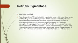 Retinitis Pigmentosa
 How is RP inherited?
 To understand how RP is inherited, itís important to know a little more about genes
and how they are passed from parent to child. Genes are bundled together on
structures called chromosomes. Each cell in your body contains 23 pairs of
chromosomes. One copy of each chromosome is passed by a parent at
conception through egg and sperm cells. The X and Y chromosomes, known as
sex chromosomes, determine whether a person is born female (XX) or male (XY).
The 22 other paired chromosomes, called autosomes, contain the vast majority of
genes that determine non-sex traits. RP can be inherited in one of three ways:
 