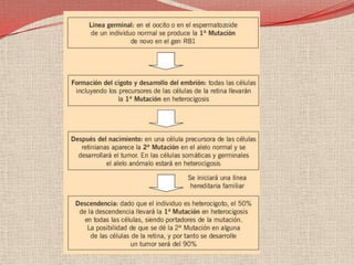 En los casos esporádicos, las dos mutaciones han de darse de novo en la misma célula retiniana. Los tumores serán siempre unilaterales y únicos y la aparición de los mismos será más tardía. 