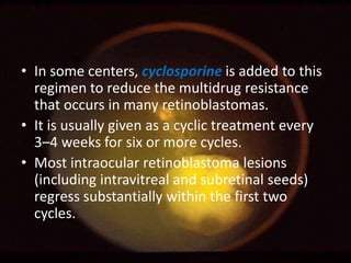 • In some centers, cyclosporine is added to this
regimen to reduce the multidrug resistance
that occurs in many retinoblastomas.
• It is usually given as a cyclic treatment every
3–4 weeks for six or more cycles.
• Most intraocular retinoblastoma lesions
(including intravitreal and subretinal seeds)
regress substantially within the first two
cycles.

 