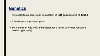 Genetics
• Retinoblastoma occurs due to mutation of RB1 gene, located at 13q14
• It is a tumour suppresser gene
• Both alleles of RB1 must be mutated for a tumor to form (Knudsons’s
two hit hypothesis)
 